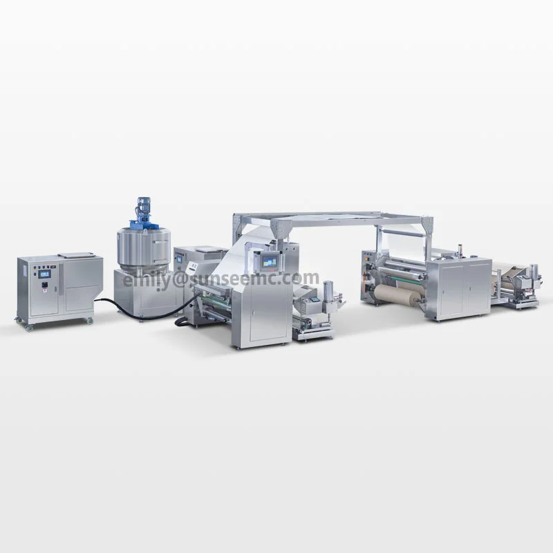 Transdermal Patch Production Line